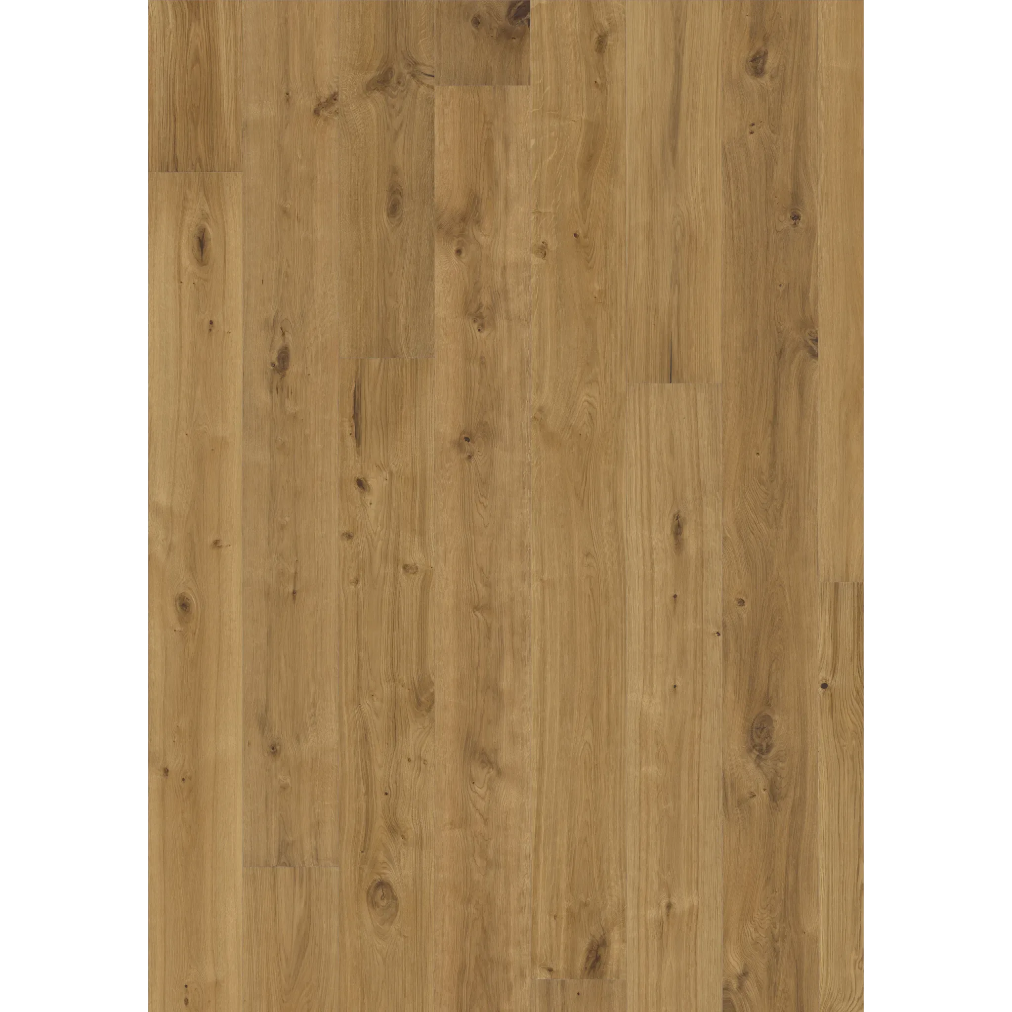 Oak Vedbo
