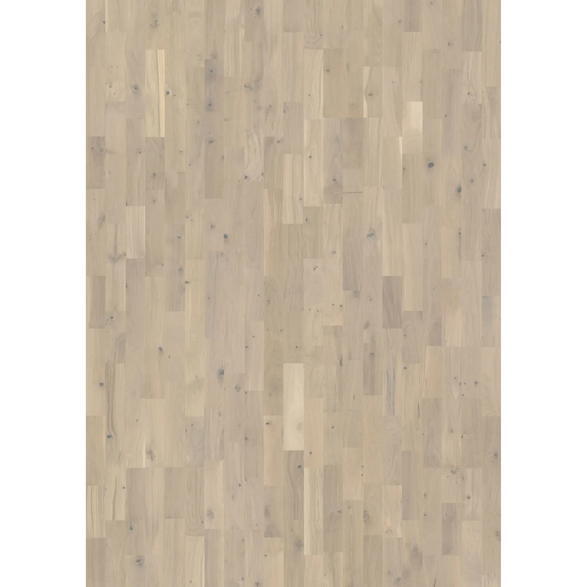 Oak Salt
