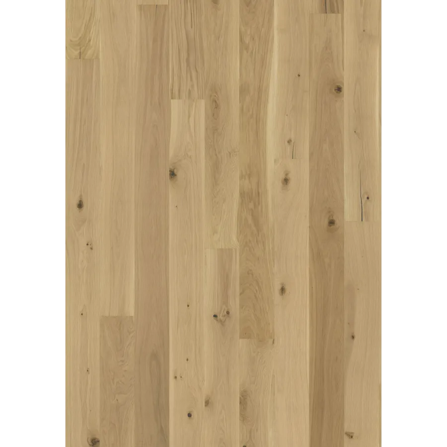 Oak Oro