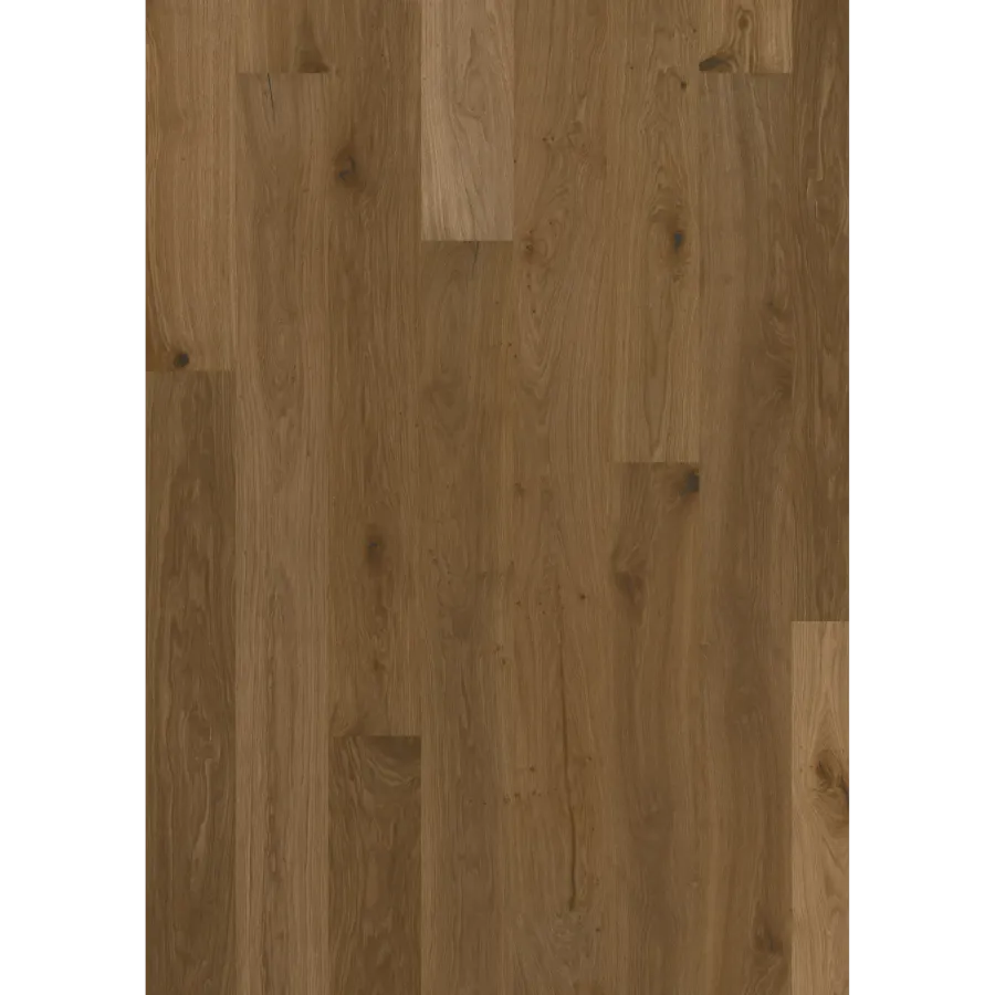 Oak Alp Rose