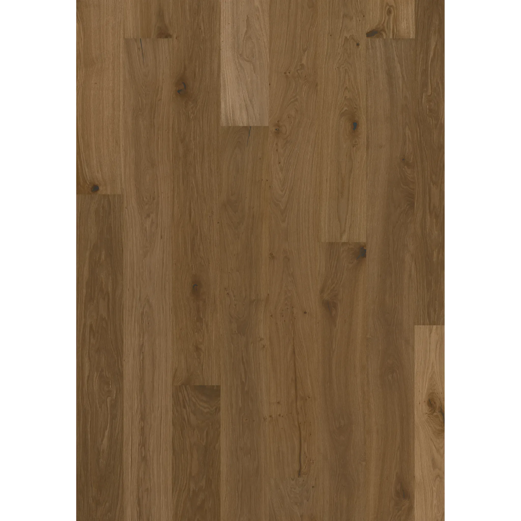 Oak Alp Rose