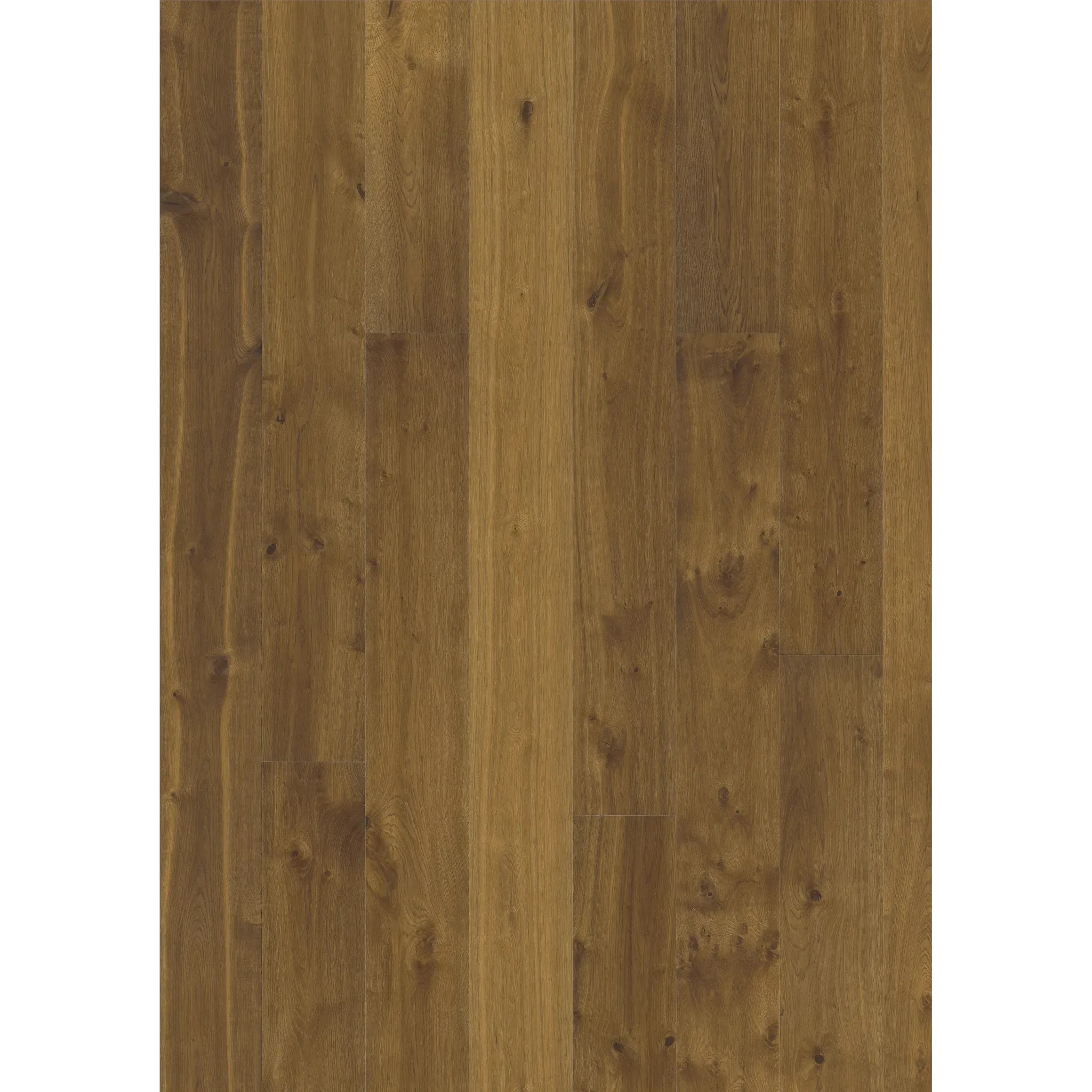 Oak Sevede