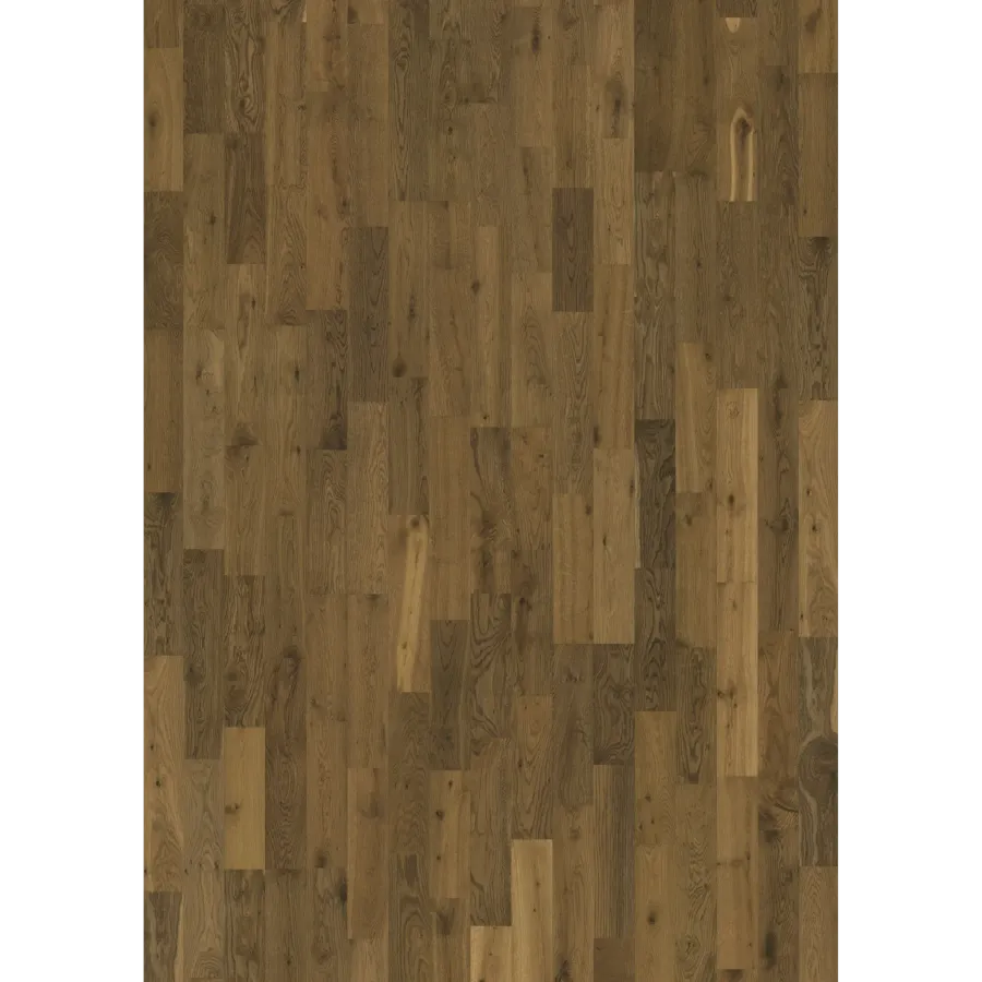 Oak Glow