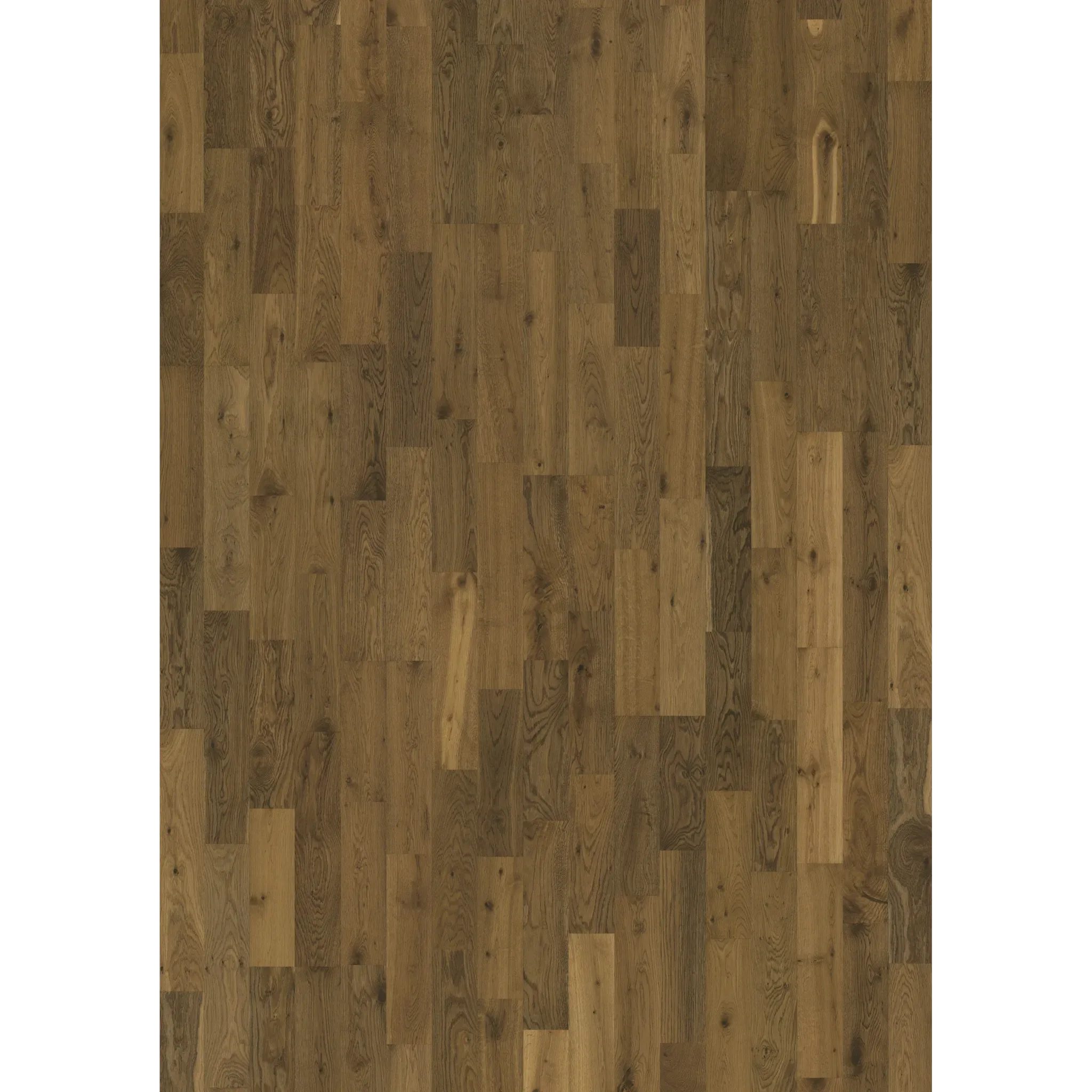Oak Glow