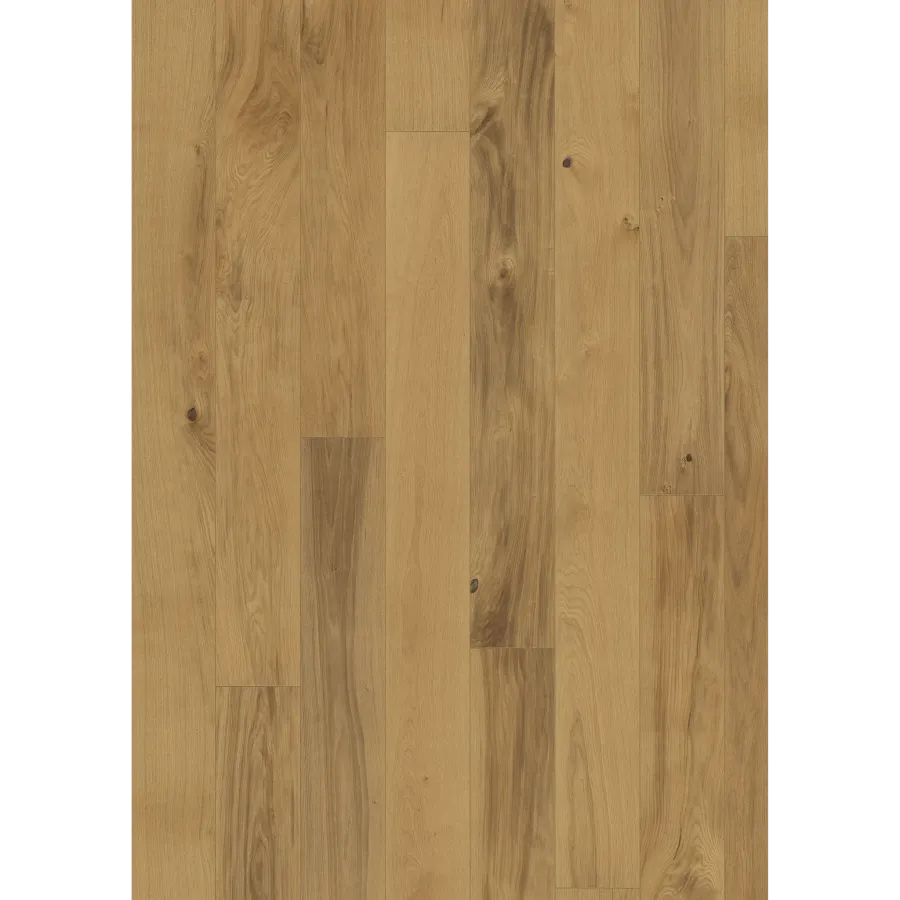 Oak Burgundy