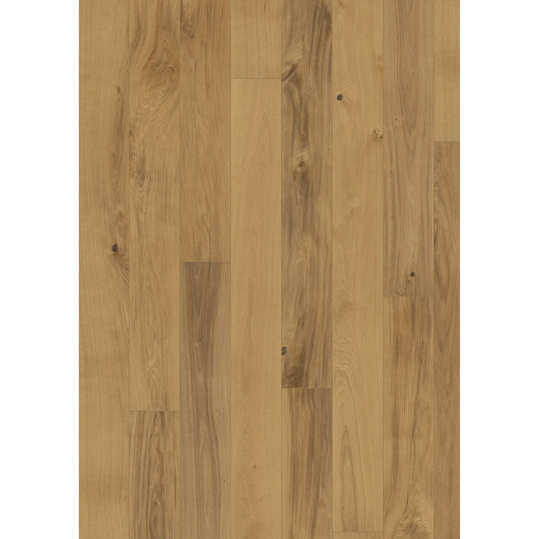 Oak Burgundy
