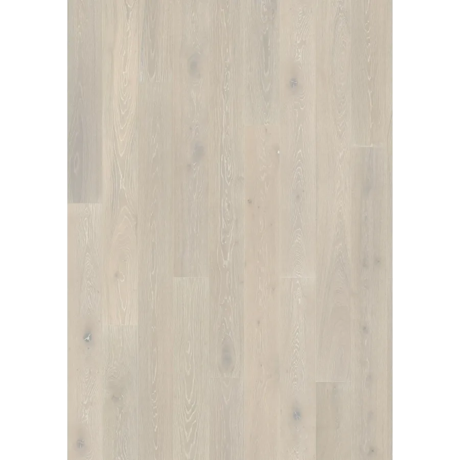 Oak Nouveau Snow