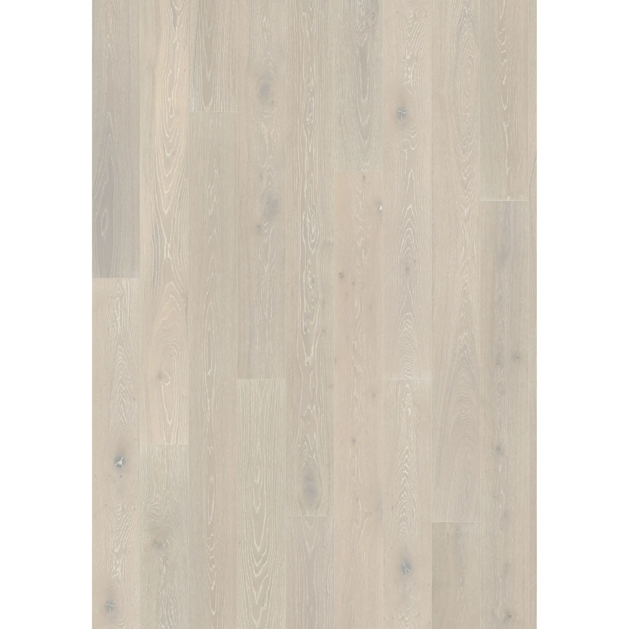 Oak Nouveau Snow