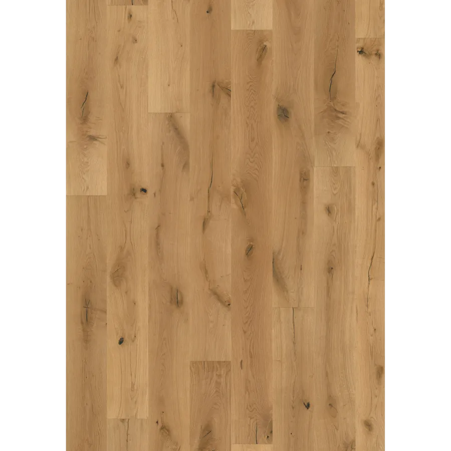 Oak Eurus