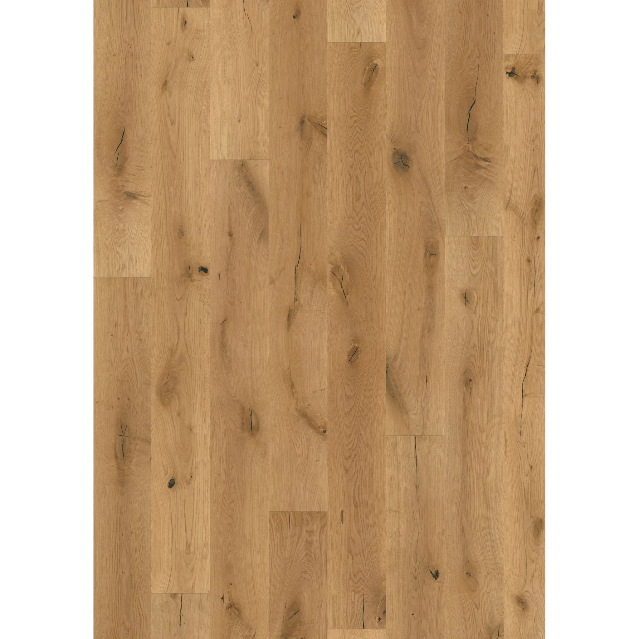 Oak Eurus