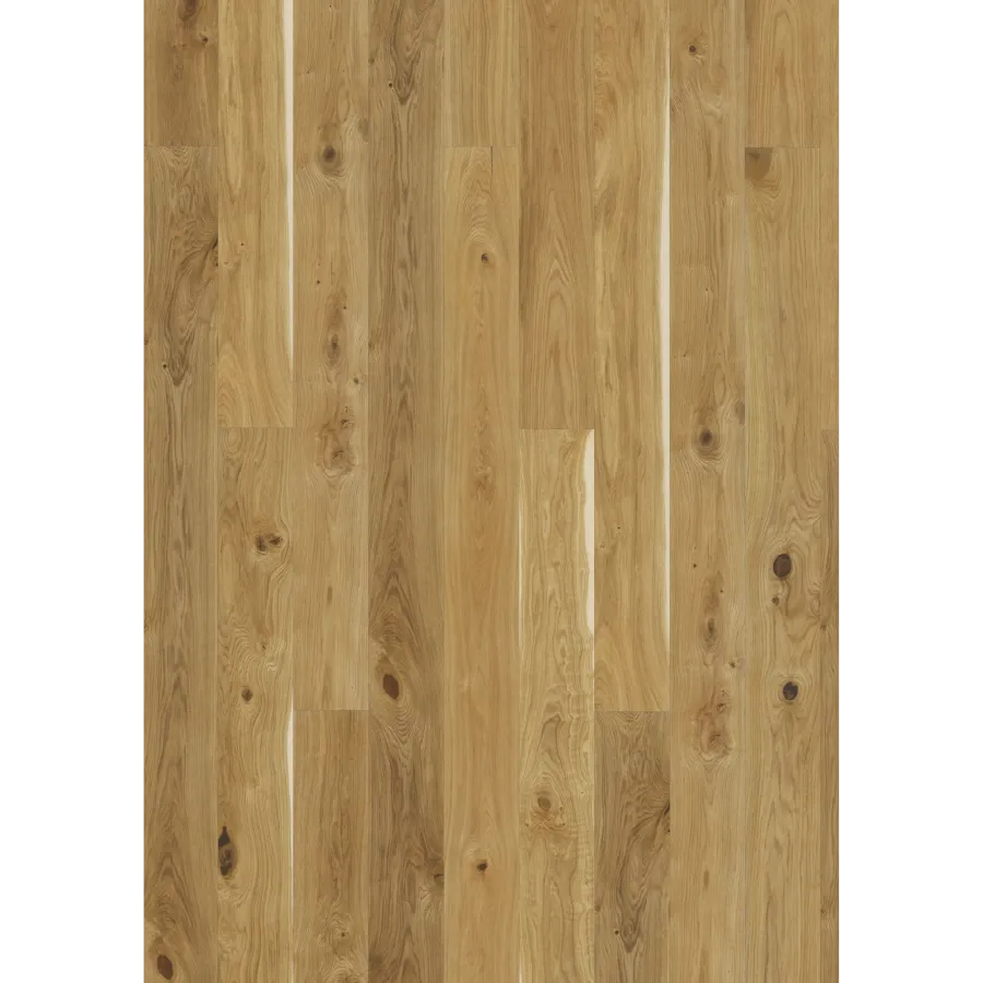 Oak Alba