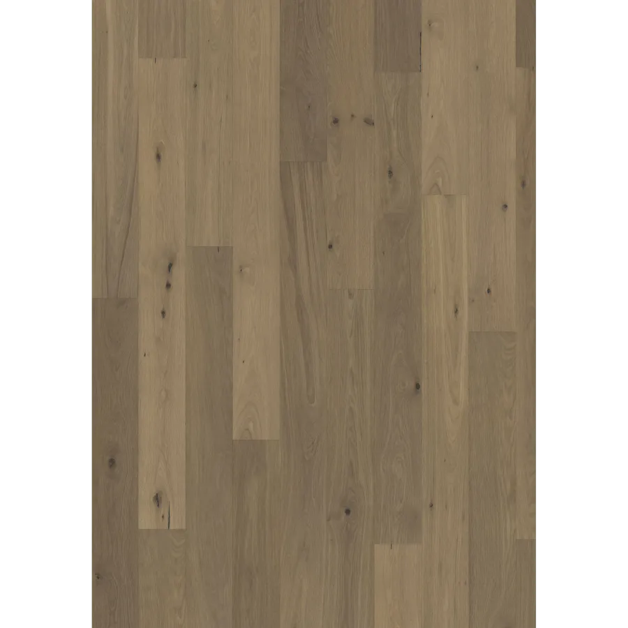 Oak Piazza Cd Smoked Grey