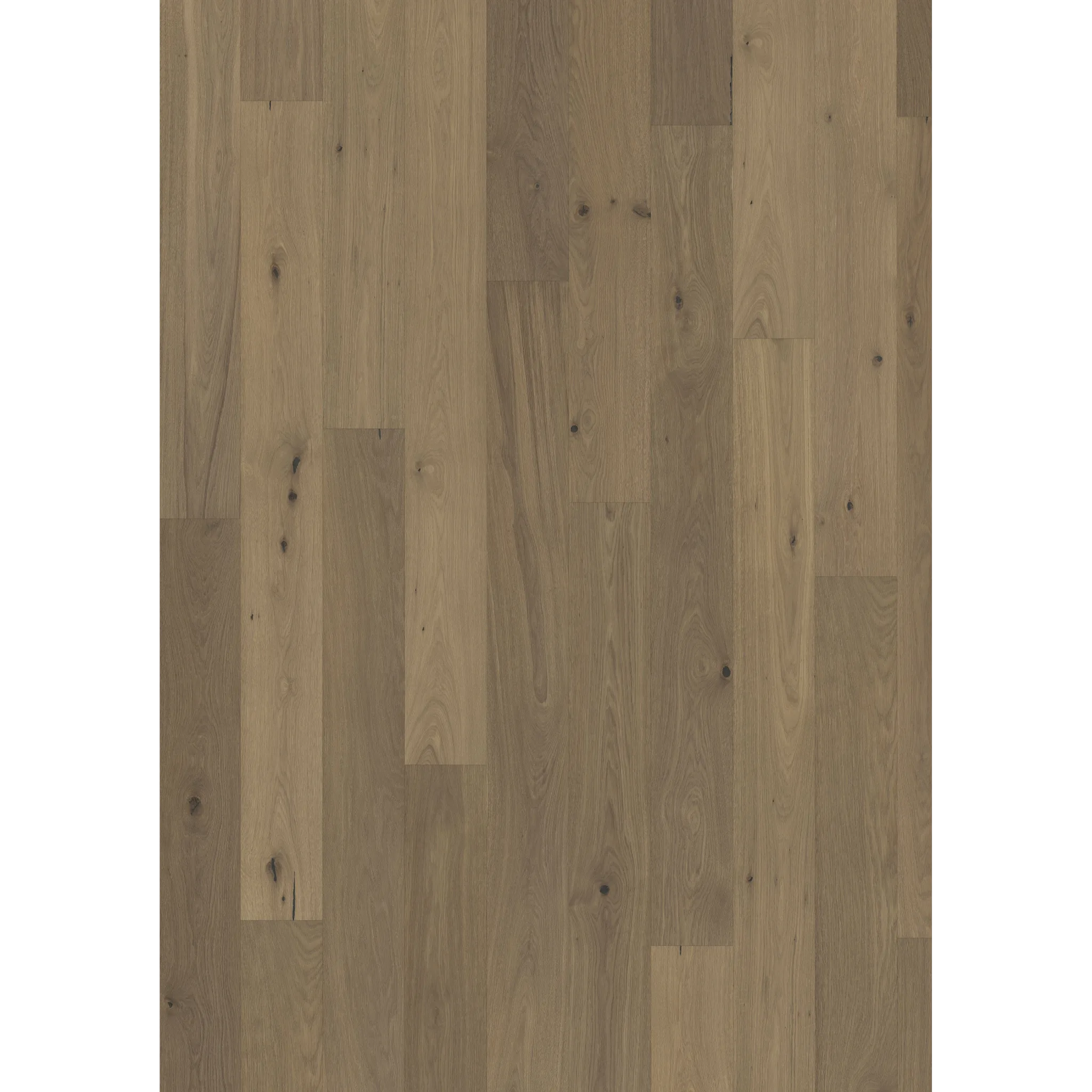 Oak Piazza Cd Smoked Grey