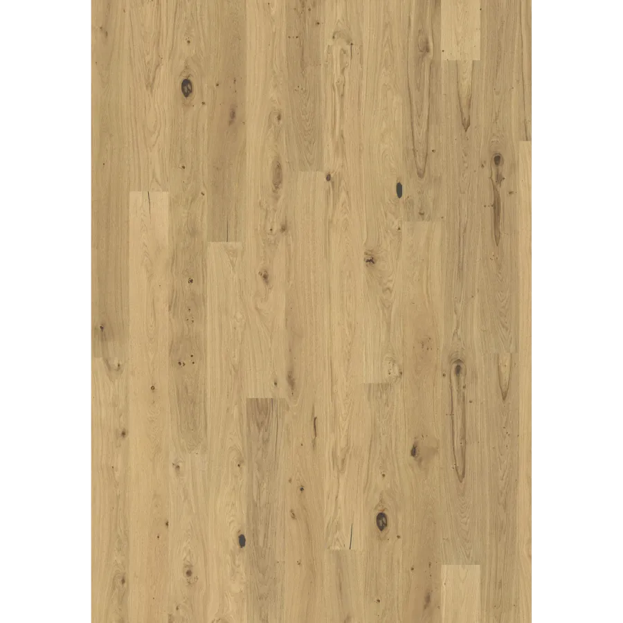 Oak Rochford