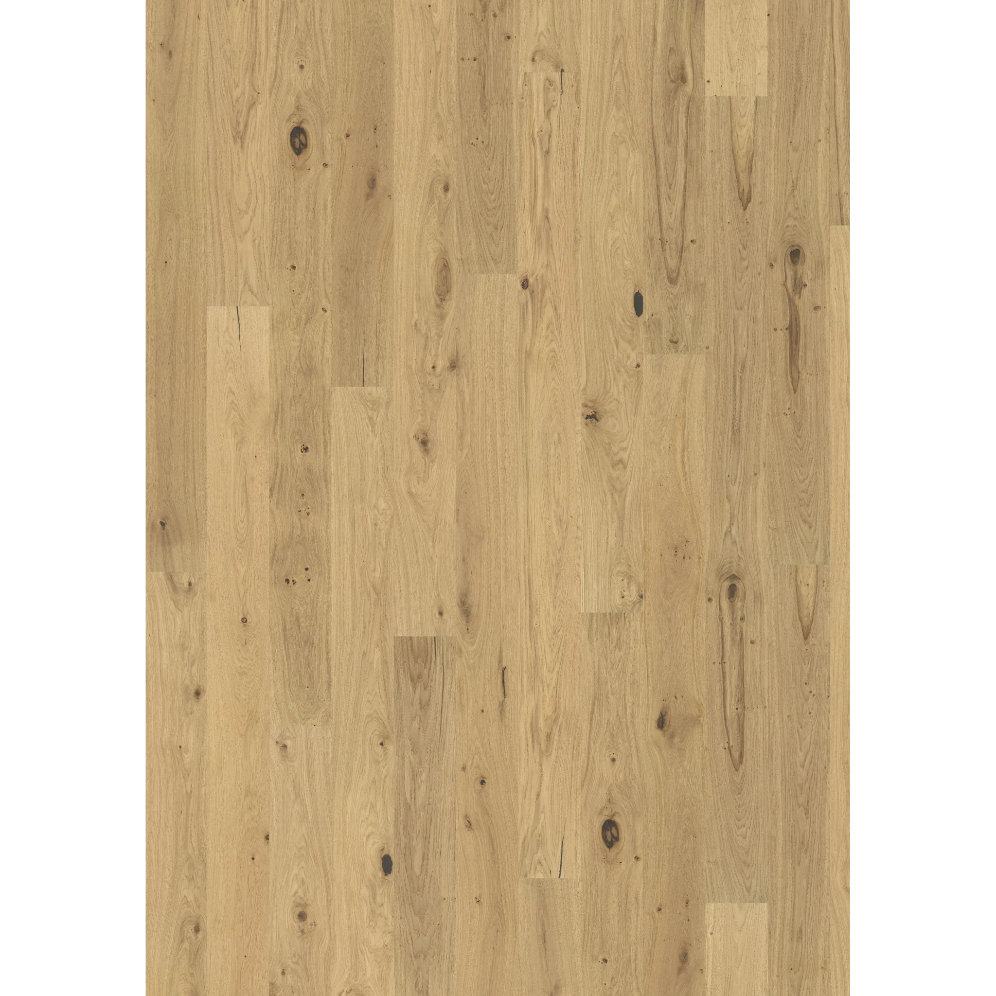 Oak Rochford