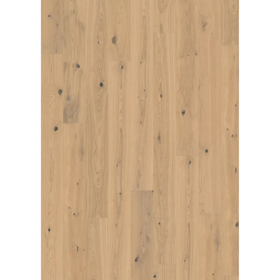 Oak Turmeric Plank