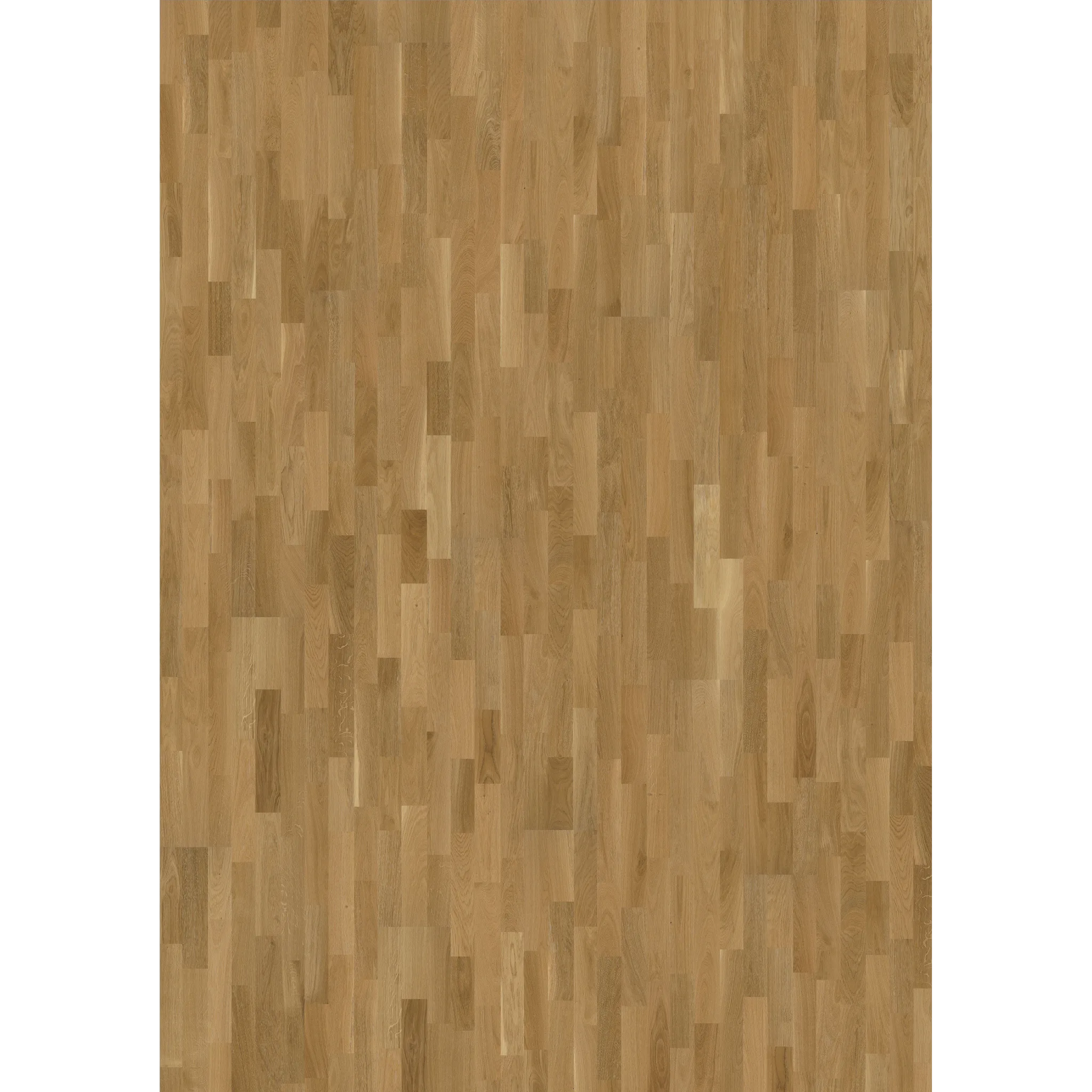 Oak Lecco Satin