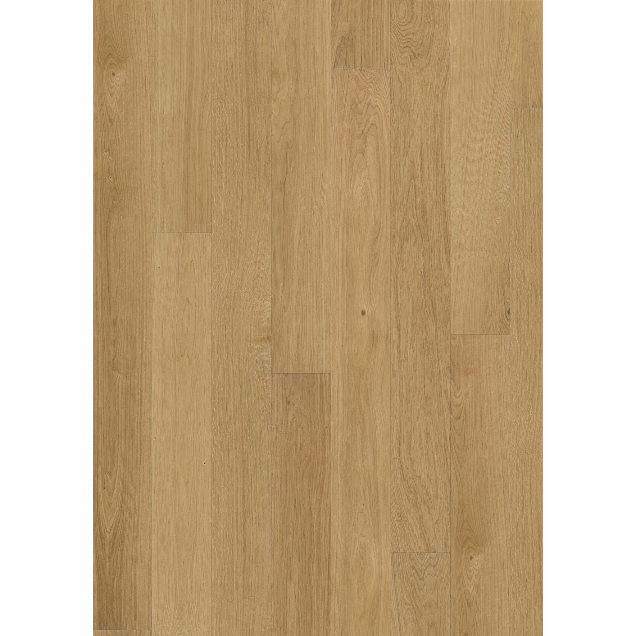 Oak Dublin Ultra Matt