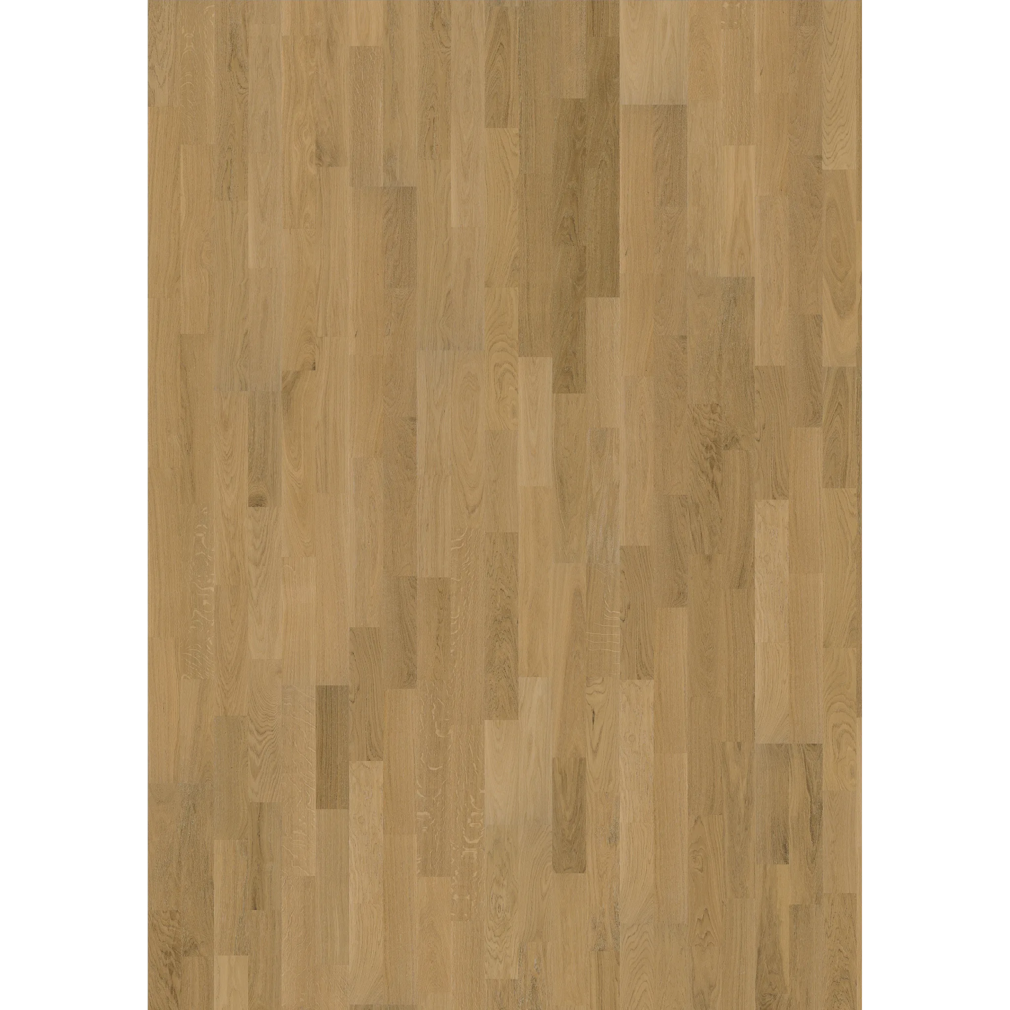 Oak Verona Matt