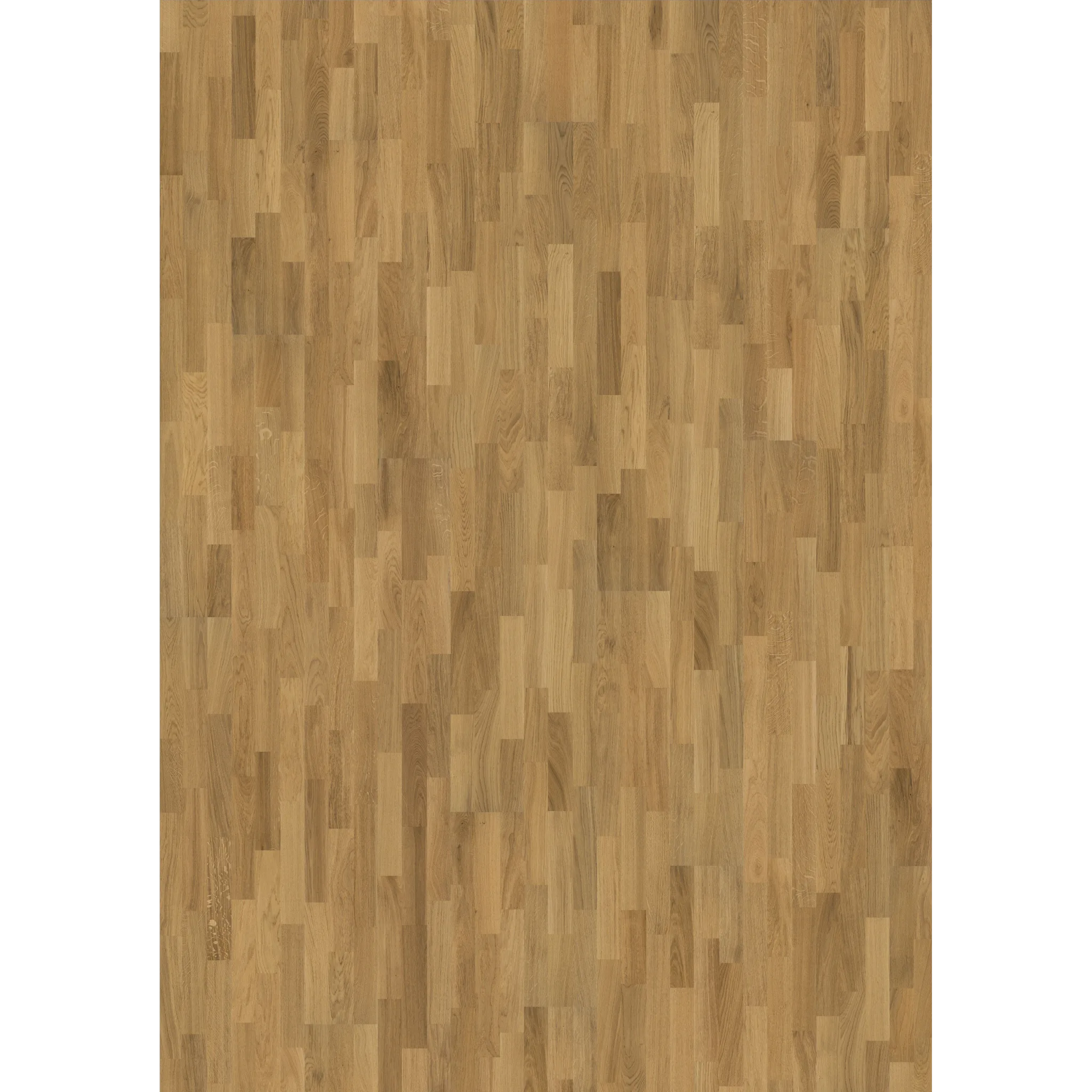 Oak Siena Satin