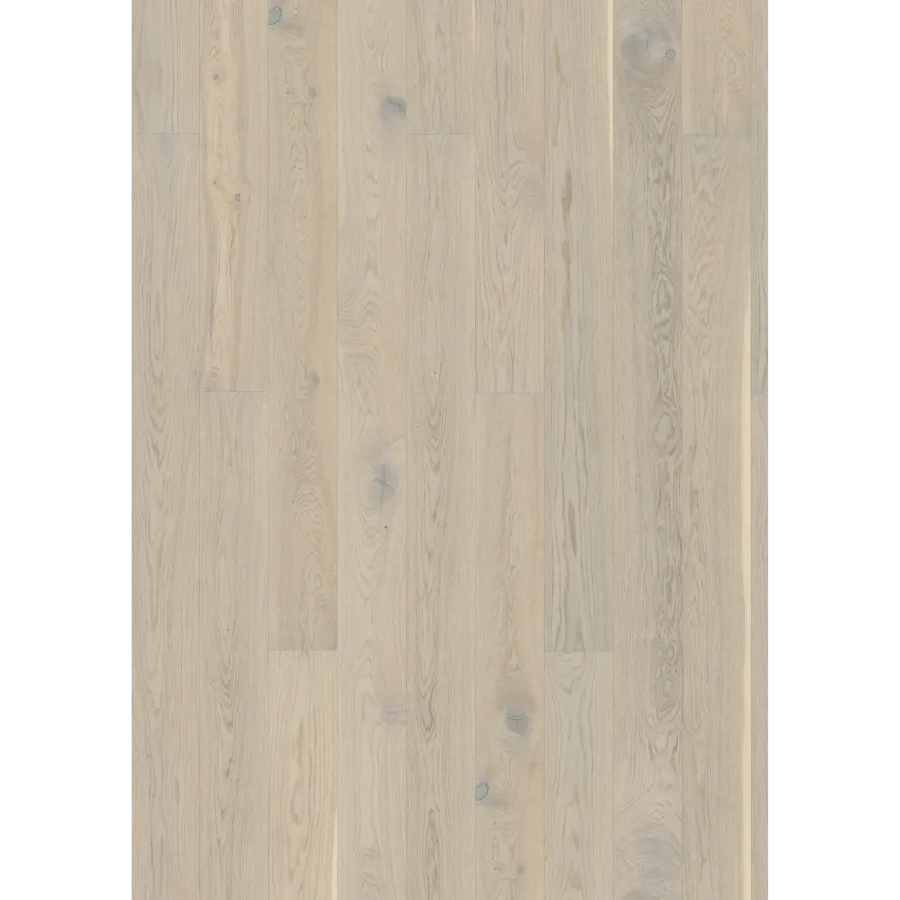 Oak Vigo