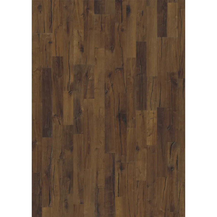 Oak Domo