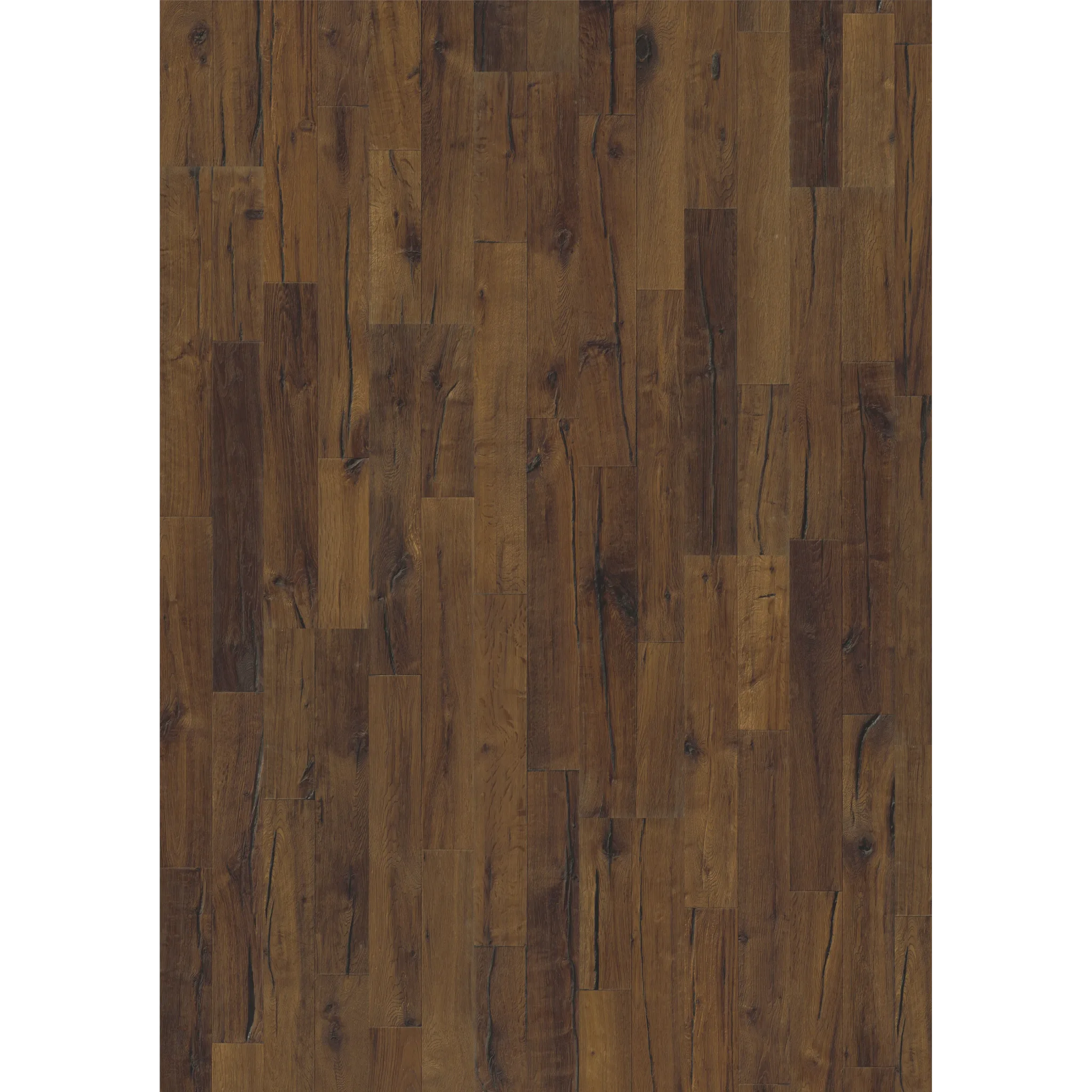 Oak Domo