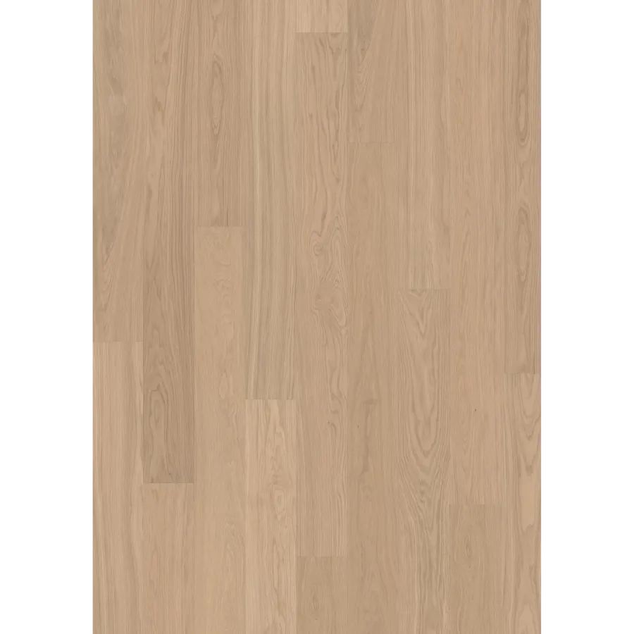 Oak Ginger Plank