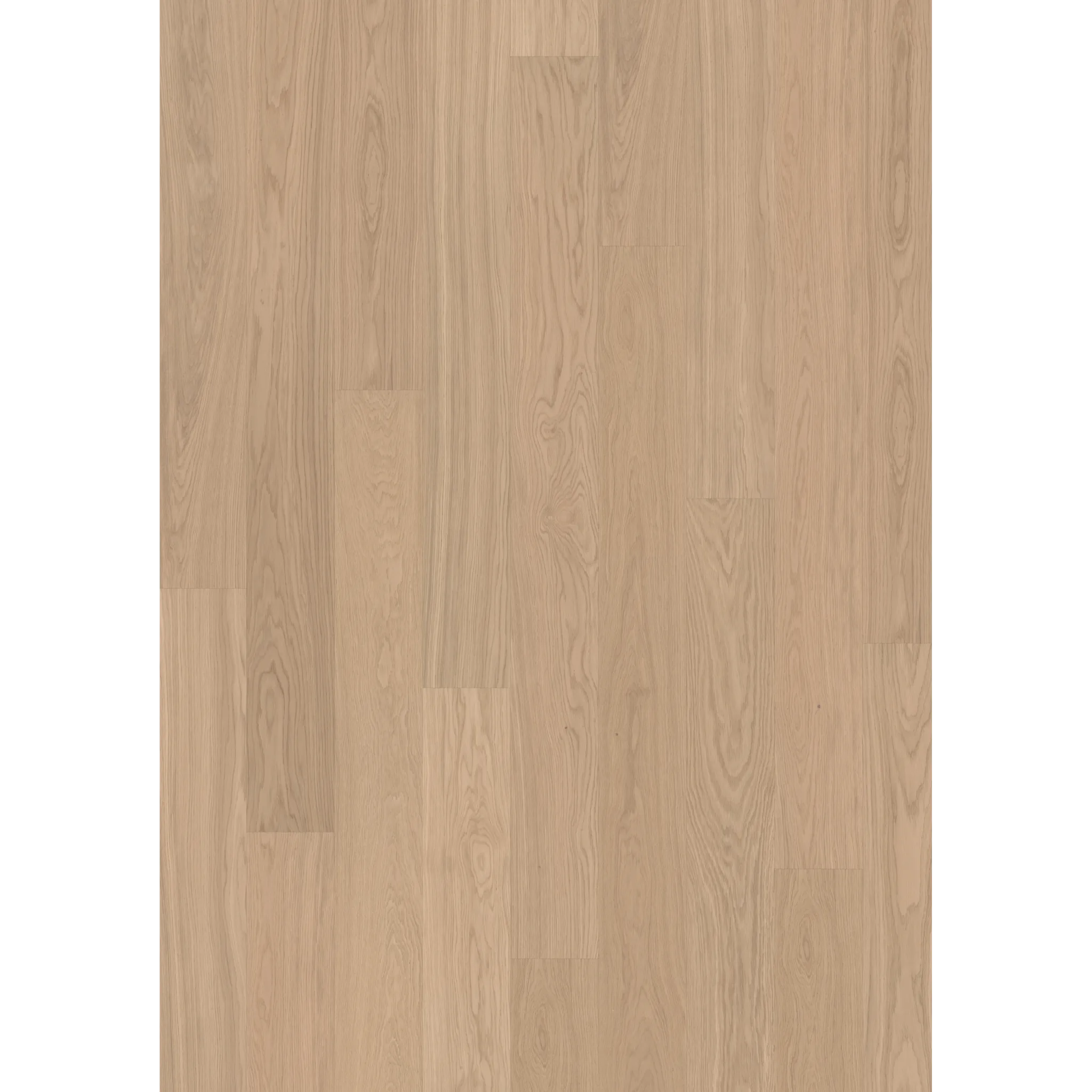 Oak Ginger Plank