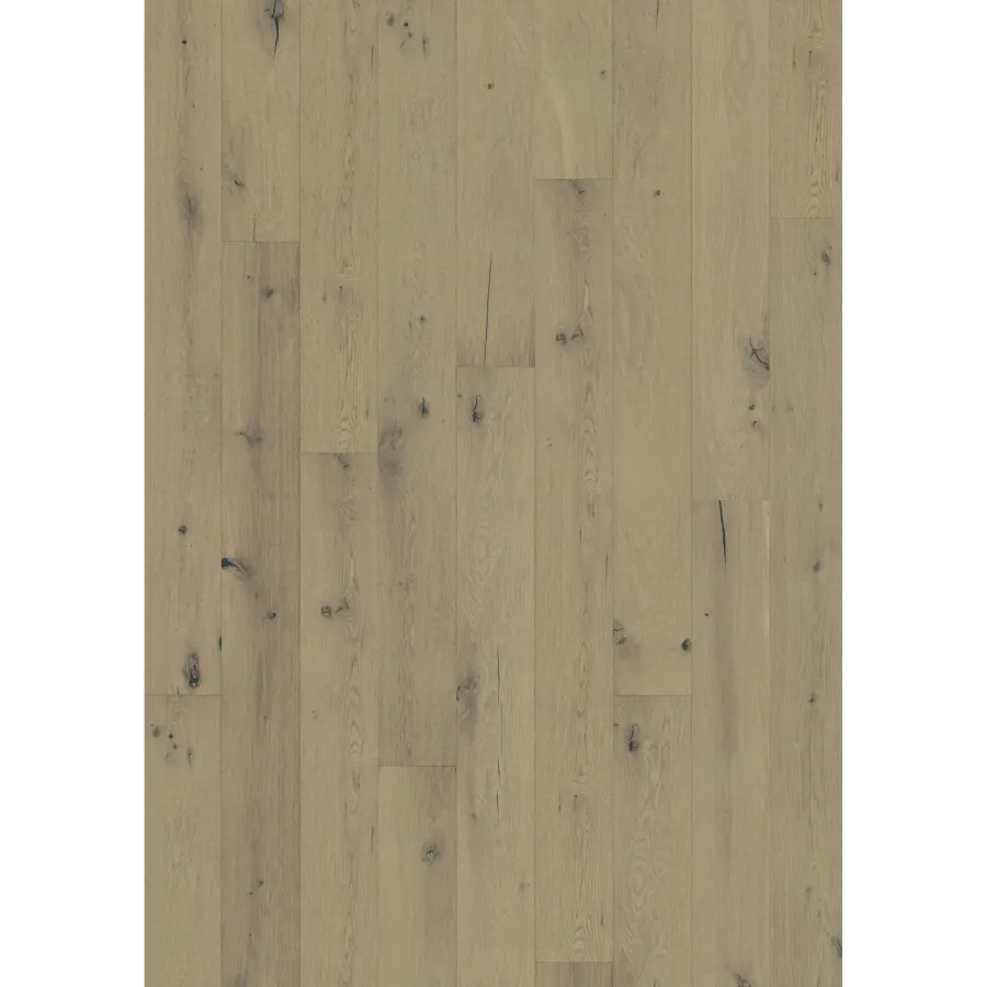 Oak Calm