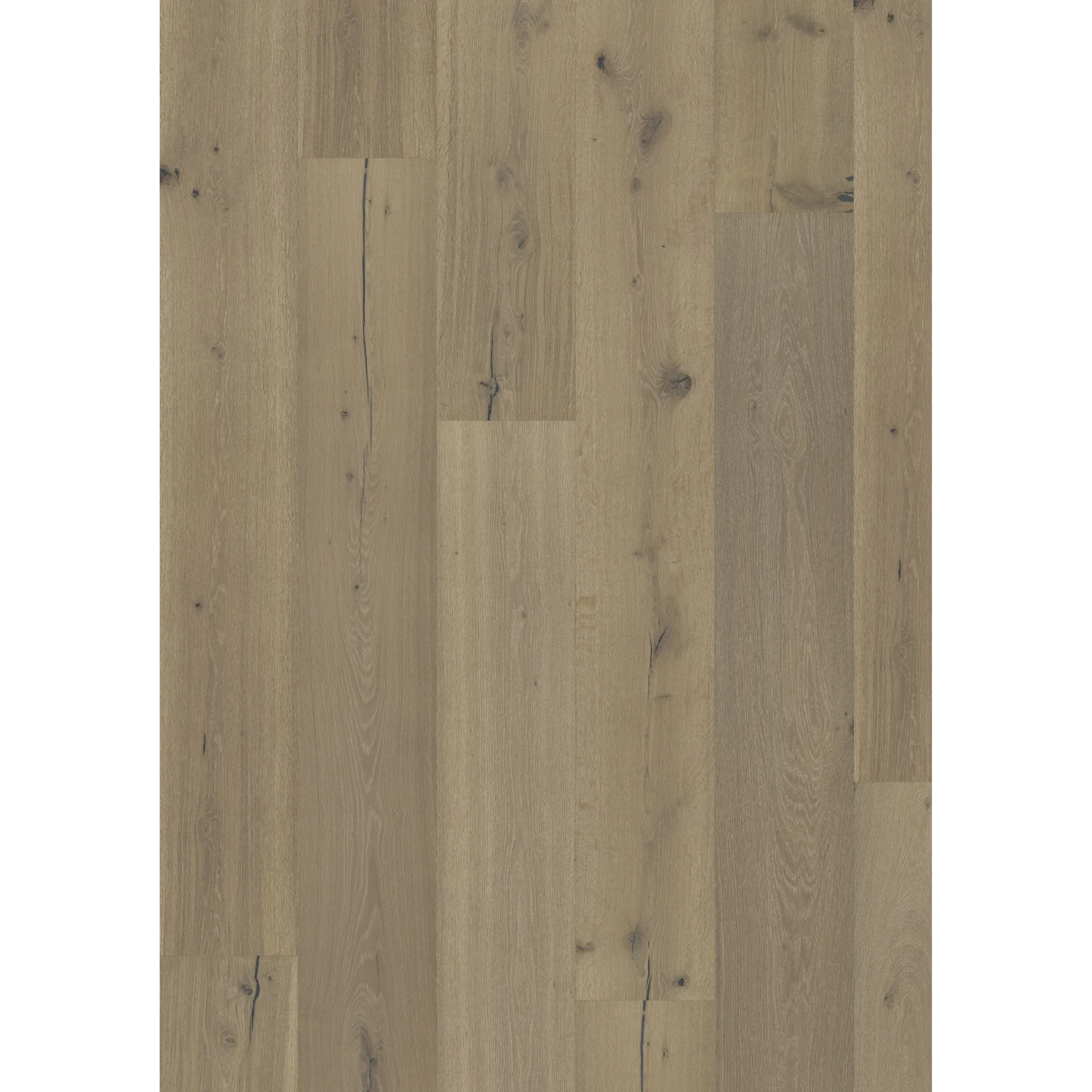 Oak Chillon