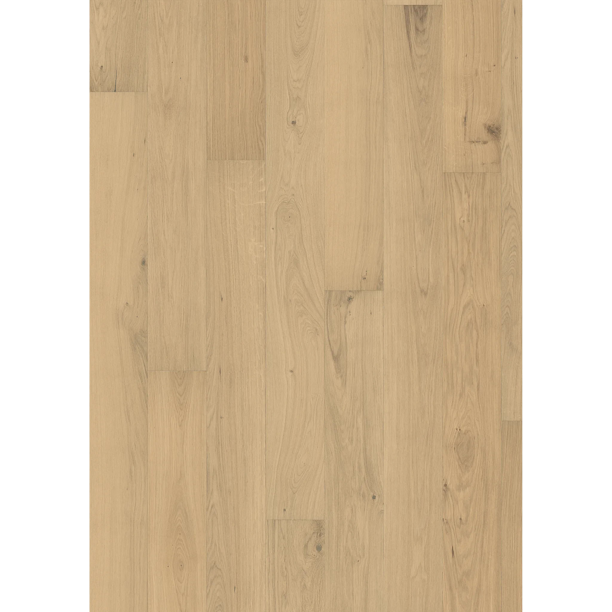 Oak Piazza Cd Dim White