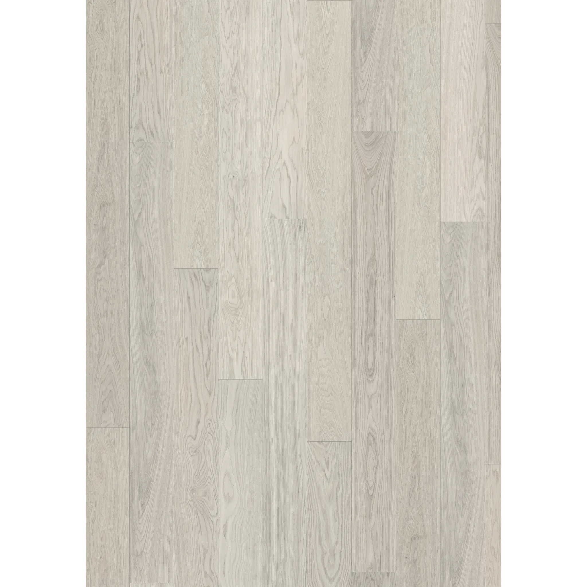 Oak Celery Plank