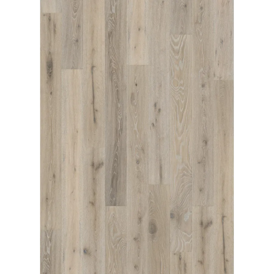 Oak Oyster