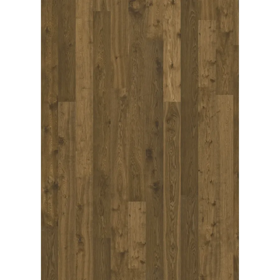 Oak Terra