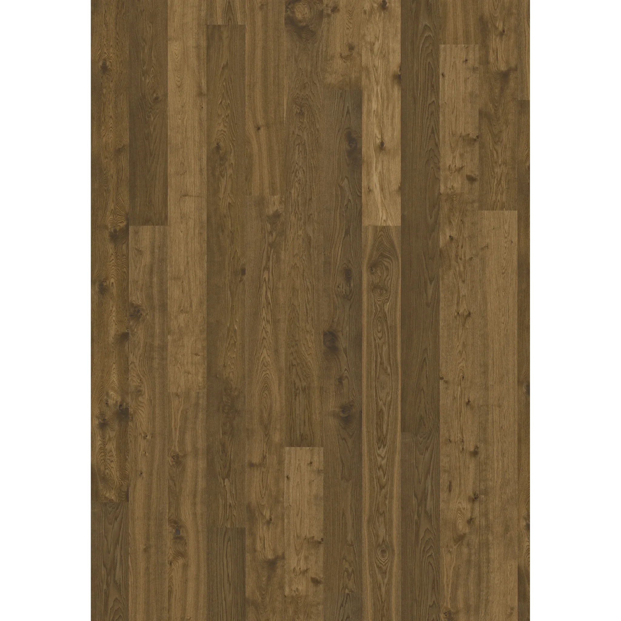 Oak Terra