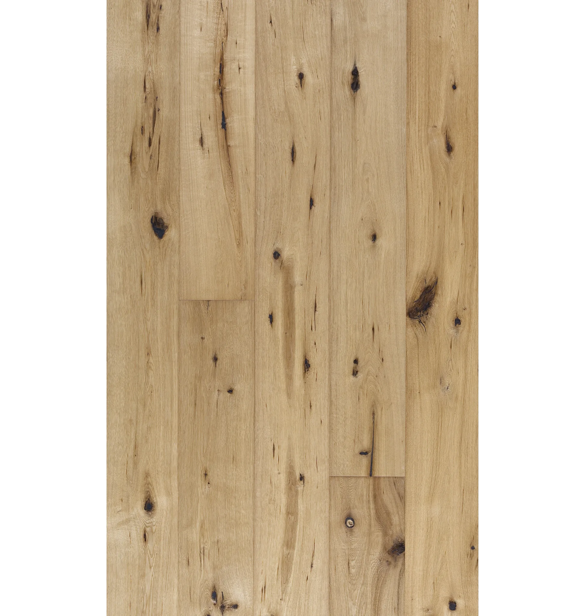 Oak Camino