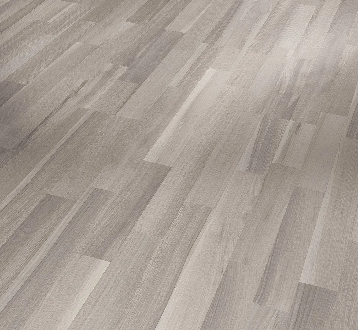 Acacia Grey