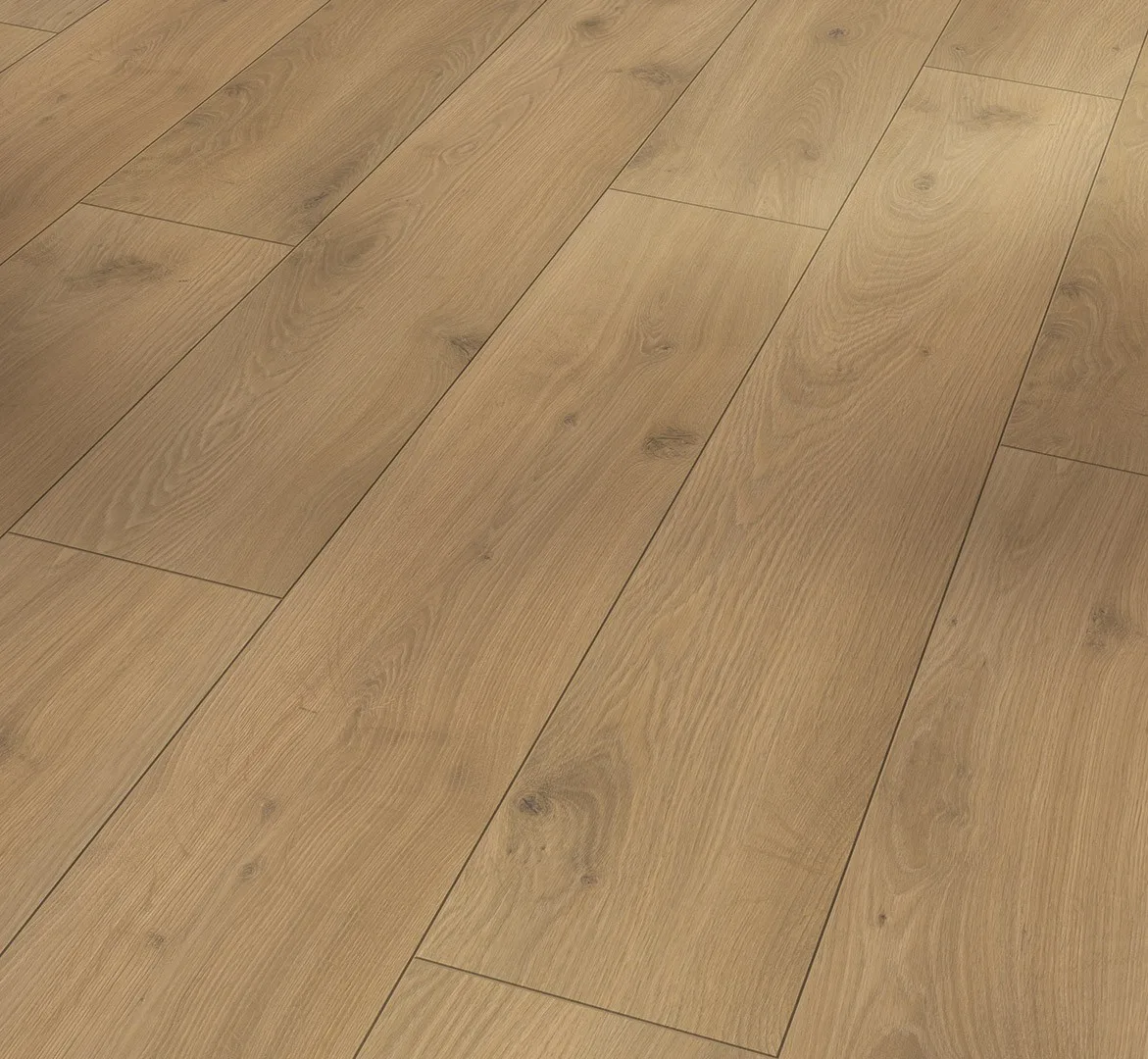 Oak Tradition Natural