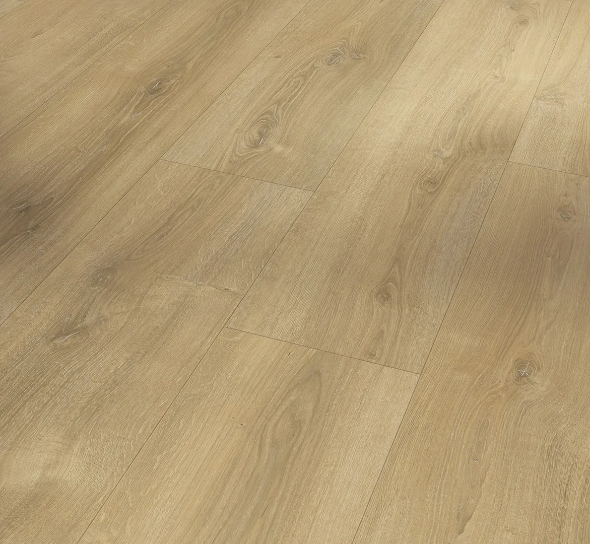 Oak Nova Limed Basic 600