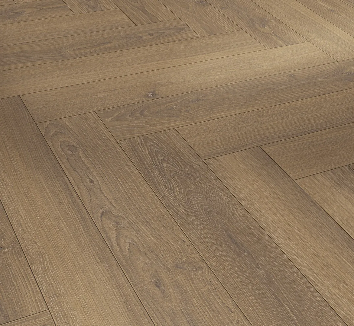 Oak Studioline Honey Trendtime 3