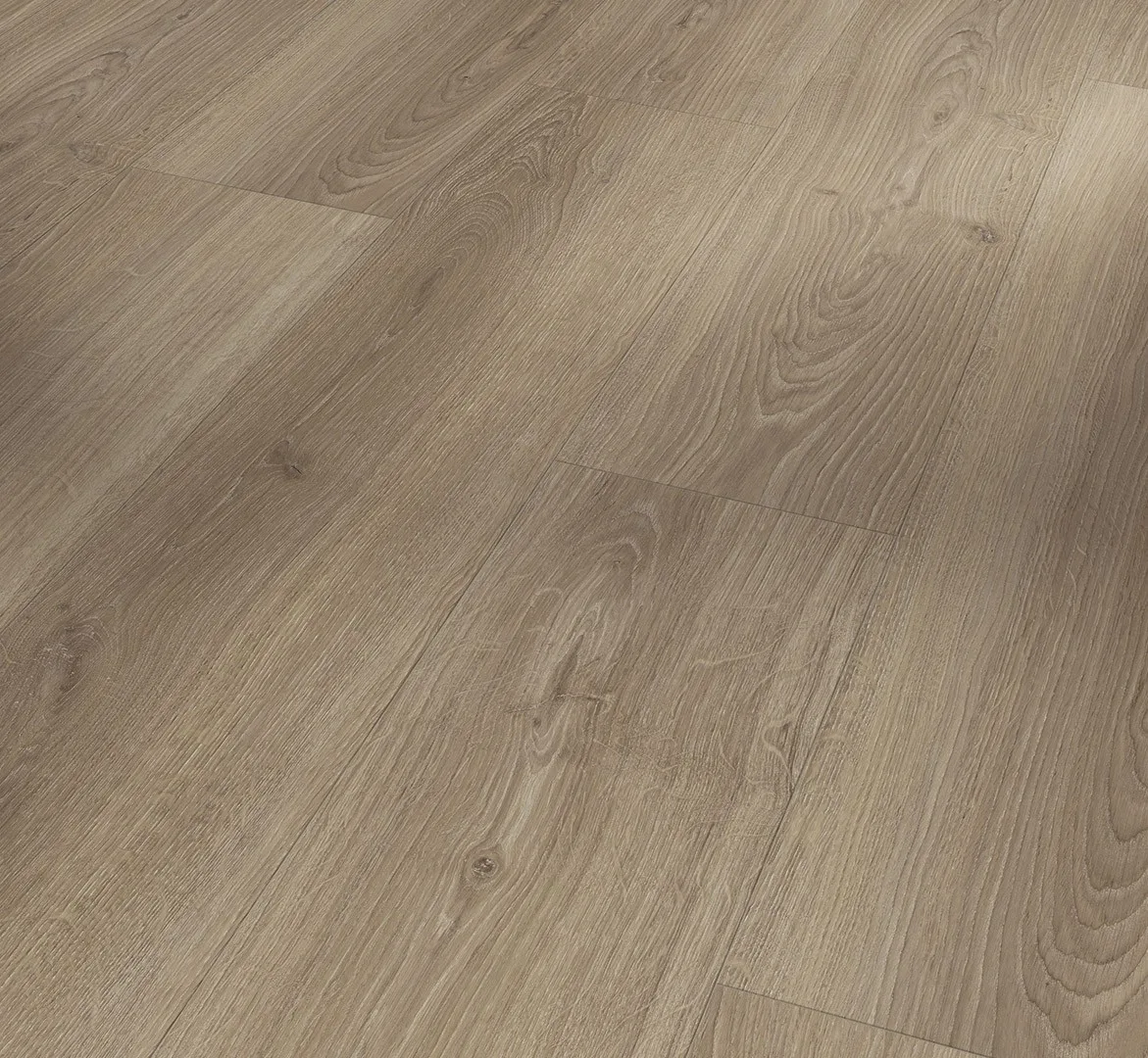 Oak Studioline Macchiato