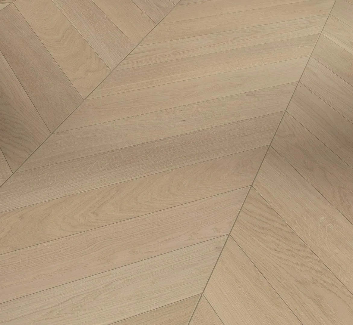 Oak Dune Natur