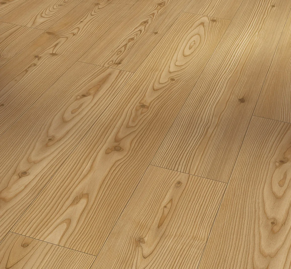 Larch Yukon Honey