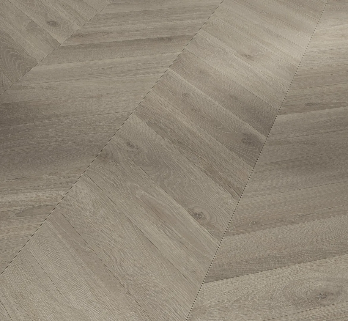 Oak Loire Grey Trendtime 8 Chevron look (1748771)