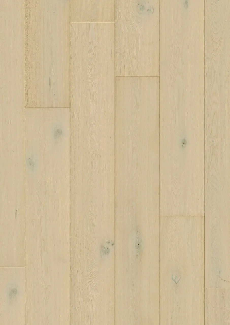 Wintry Forest Oak Extra Matt - Cala