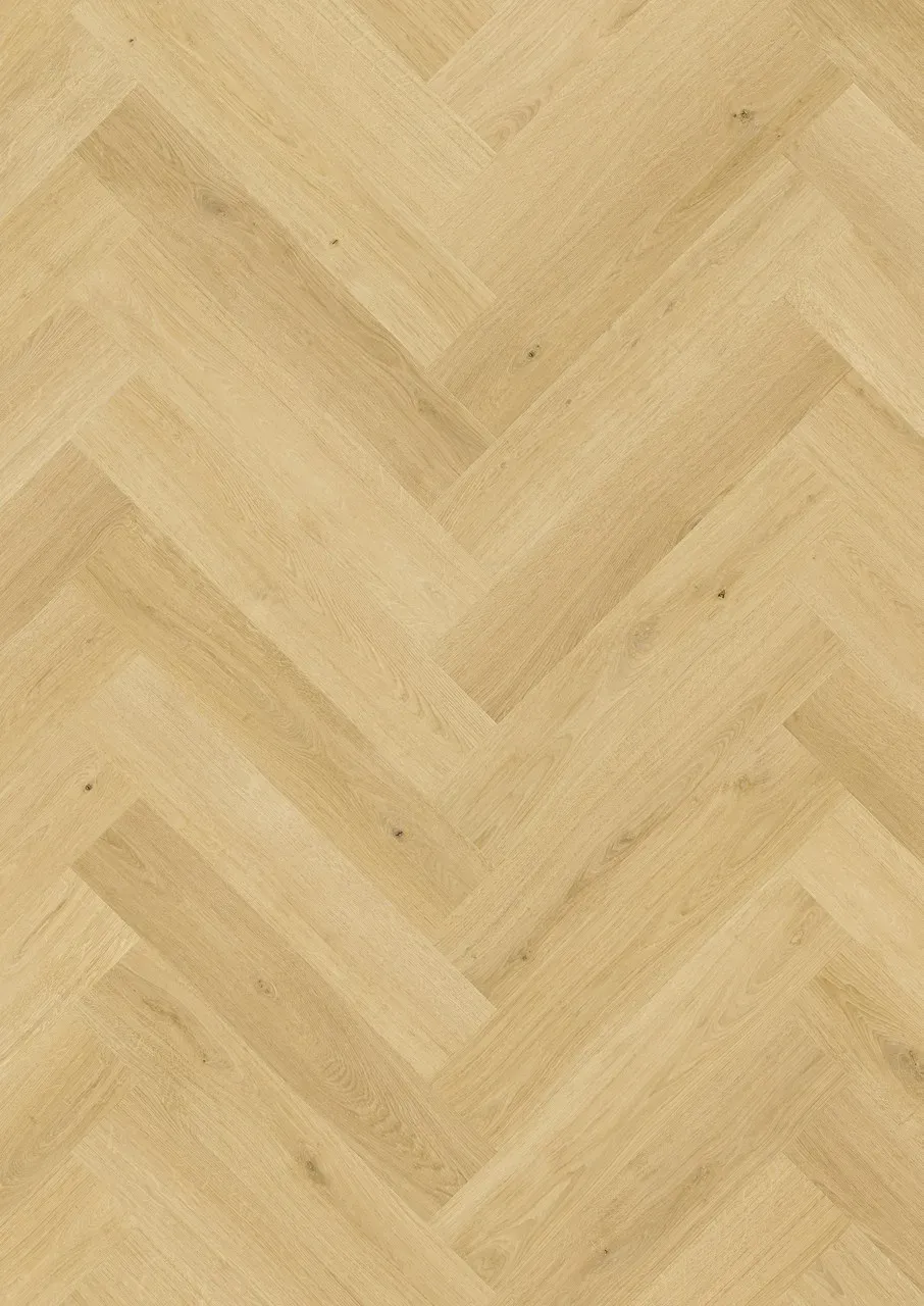 Nutmeg Oak
