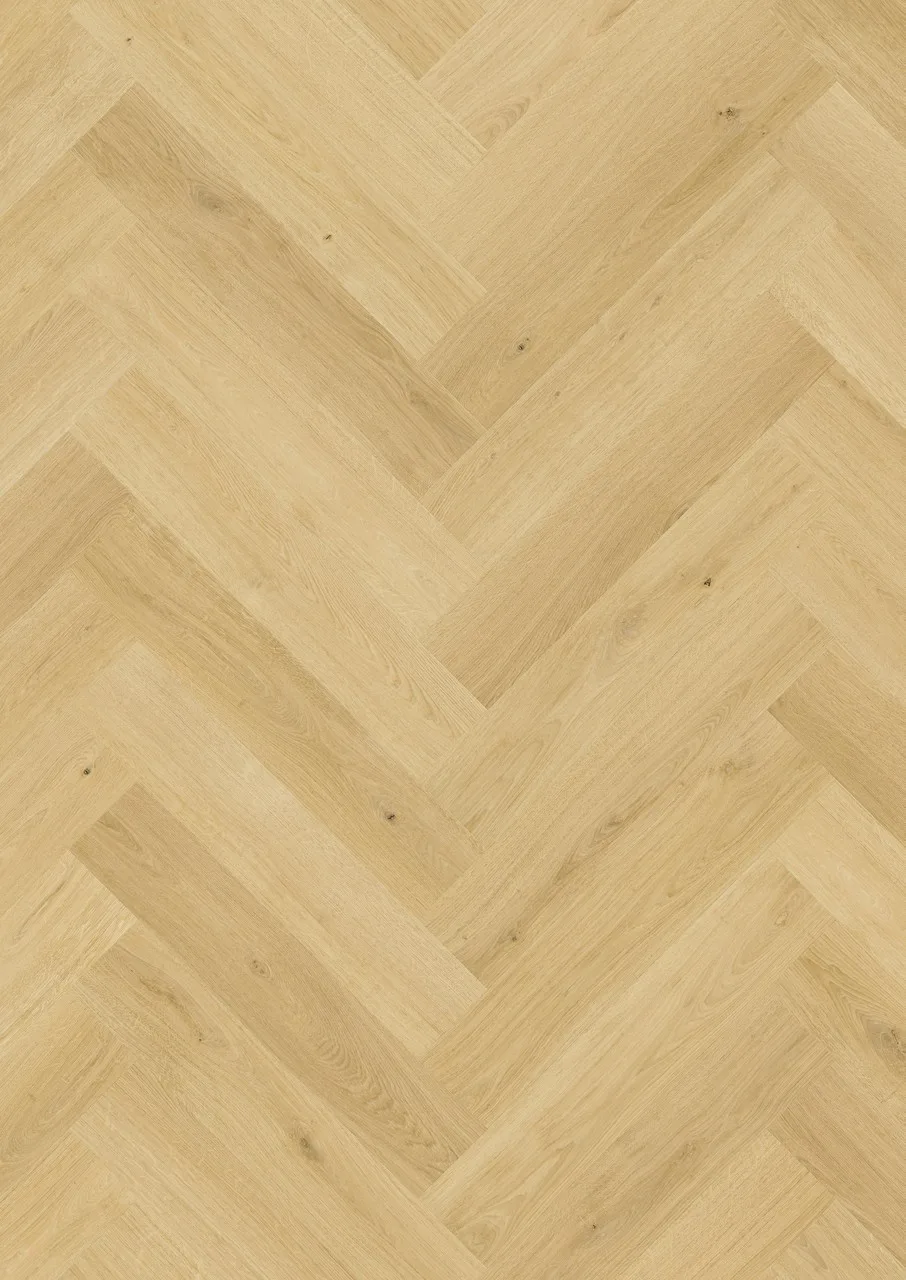 Nutmeg Oak