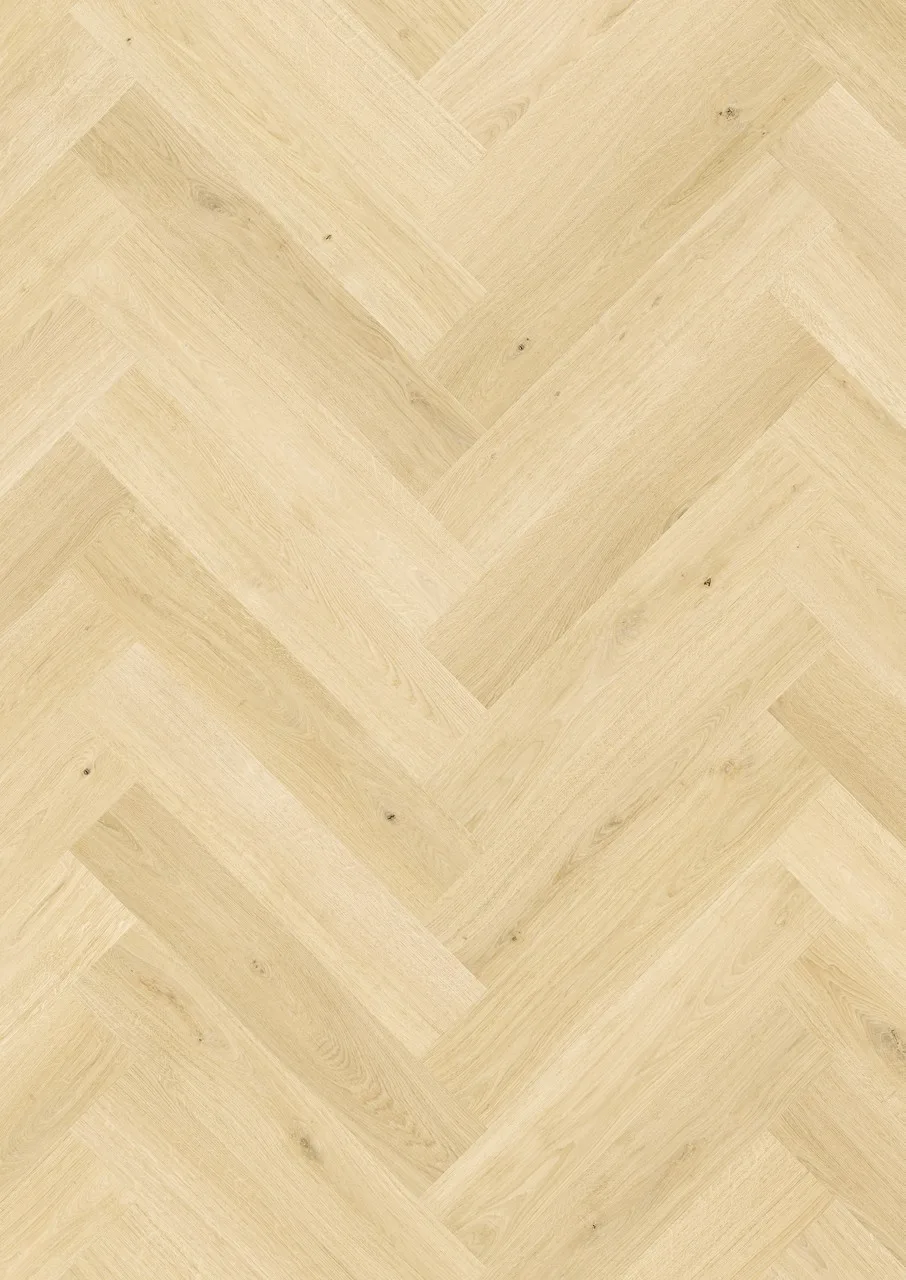 Ginger Oak