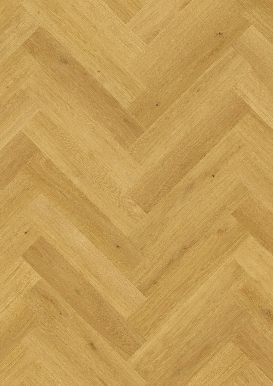 Cumin Oak